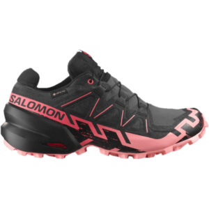 Trailrunning-Schuhe Salomon Speedcross 6 GTX W Schwarz Rosa